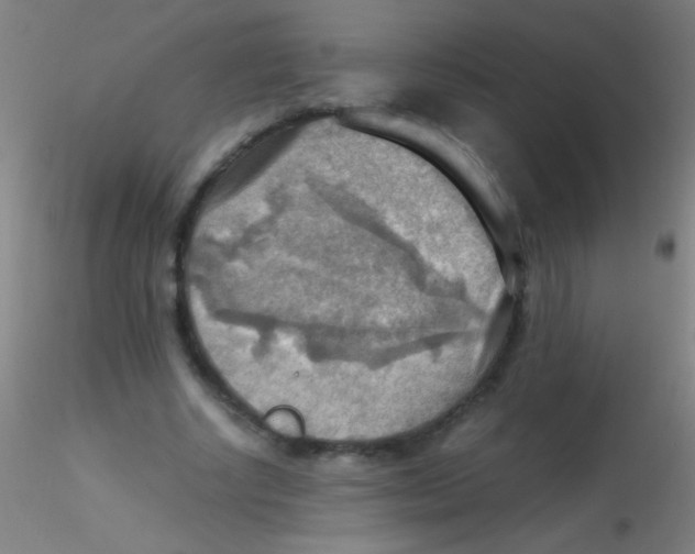 X0000115190634200911251420