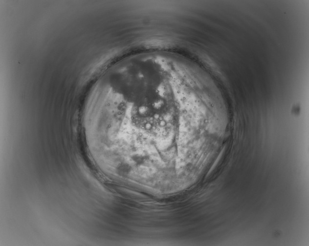 X0000115190637200911251420