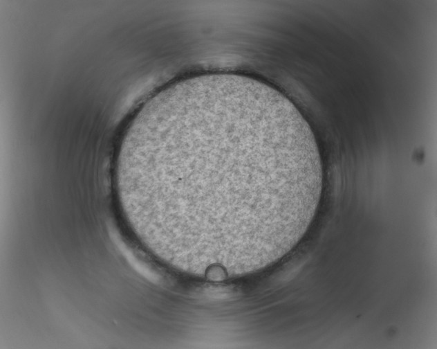 X0000115190638200911251420