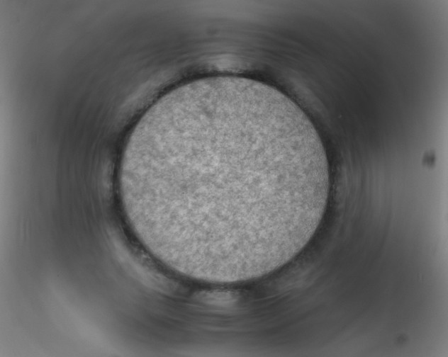 X0000115190639200911251420