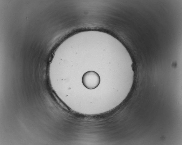 X0000115190640200911251420