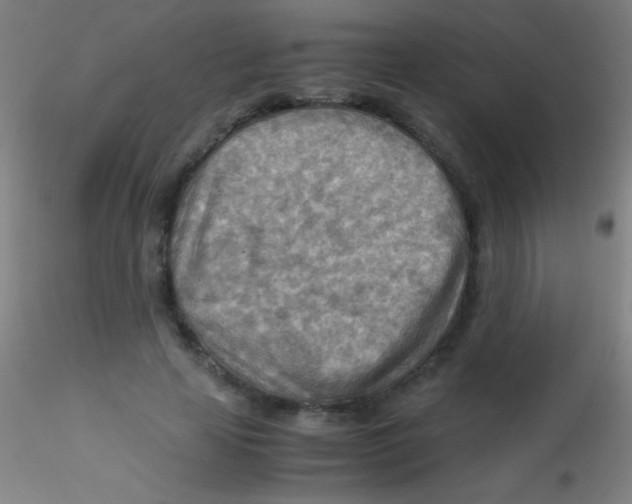 X0000115190641200911251420