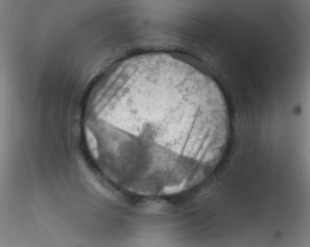 X0000115190642200911251420