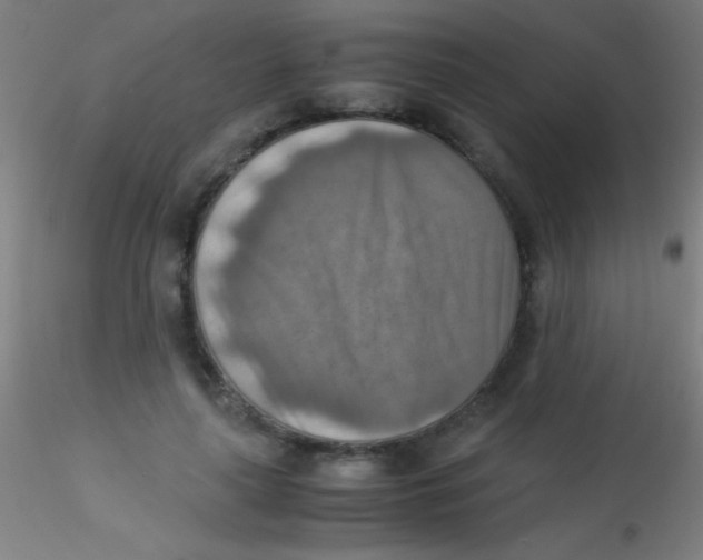 X0000115190643200911251420