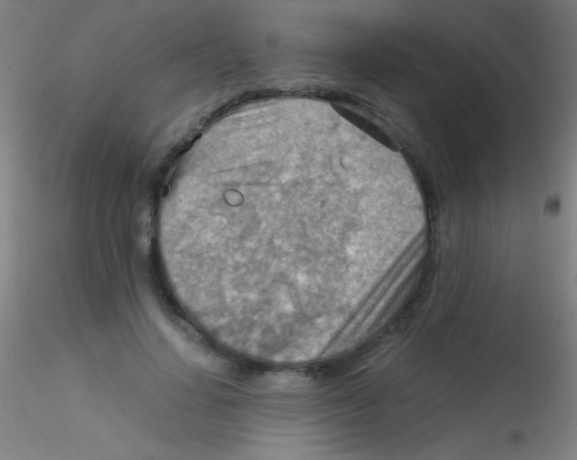 X0000115190644200911251420