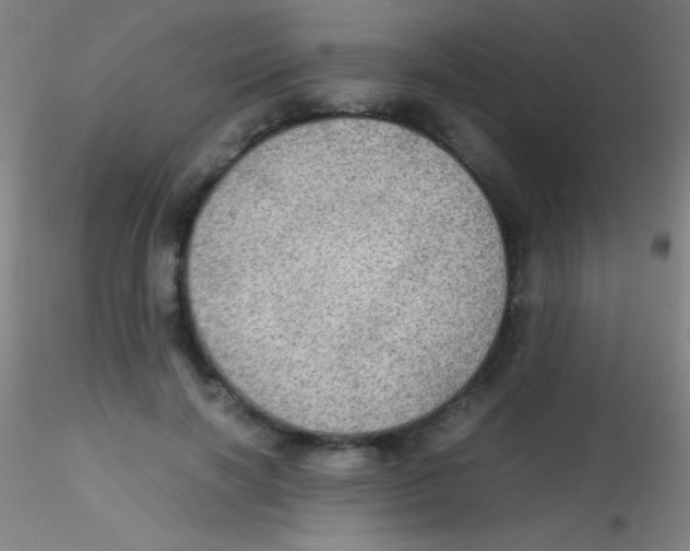 X0000115190646200911251420