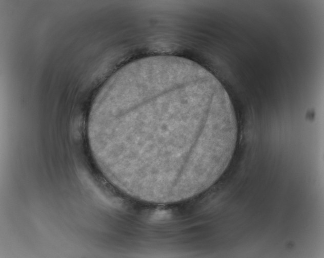 X0000115190647200911251421