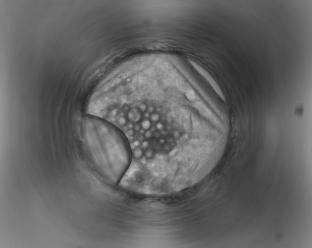 X0000115190648200911251421