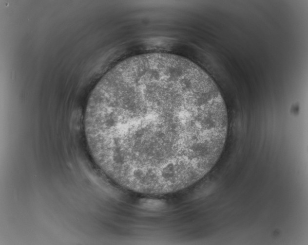 X0000115190649200911251421