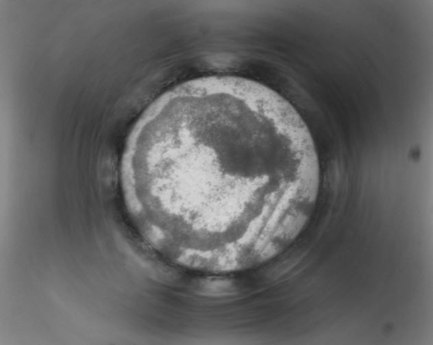 X0000115190651200911251421