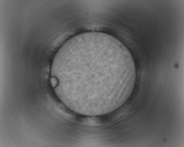 X0000115190652200911251421