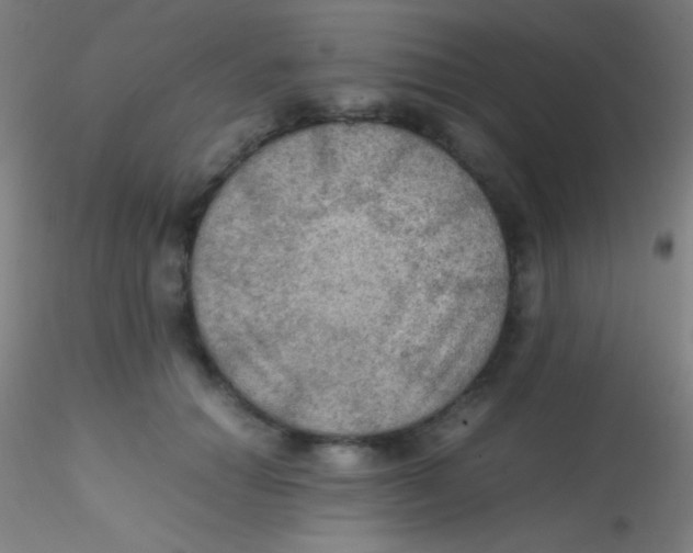 X0000115190654200911251421