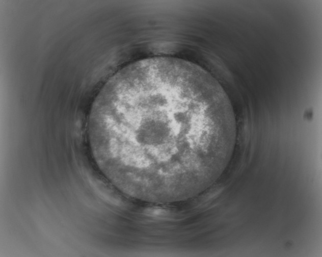 X0000115190655200911251421