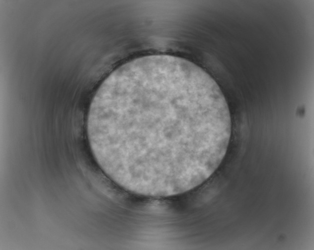 X0000115190656200911251421