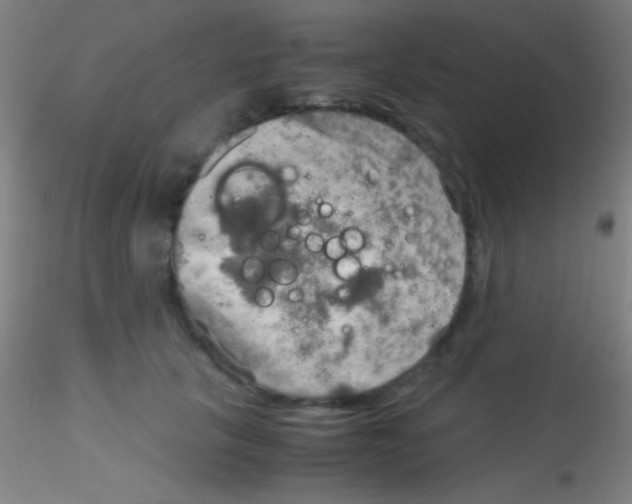 X0000115190657200911251421