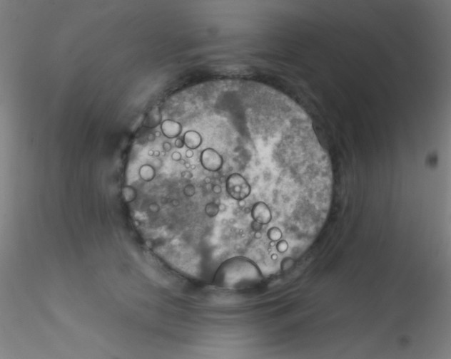 X0000115190658200911251421