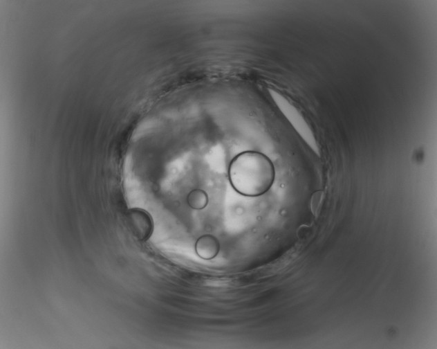 X0000115190659200911251421