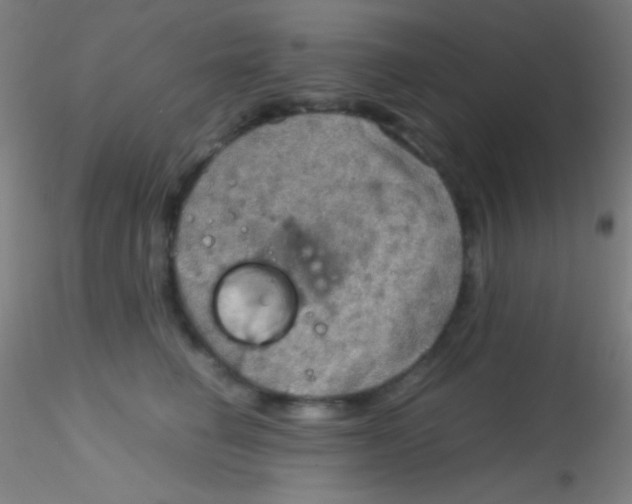 X0000115190662200911251421