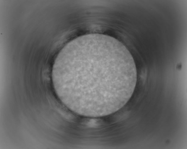 X0000115190663200911251421