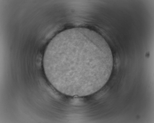 X0000115190664200911251421