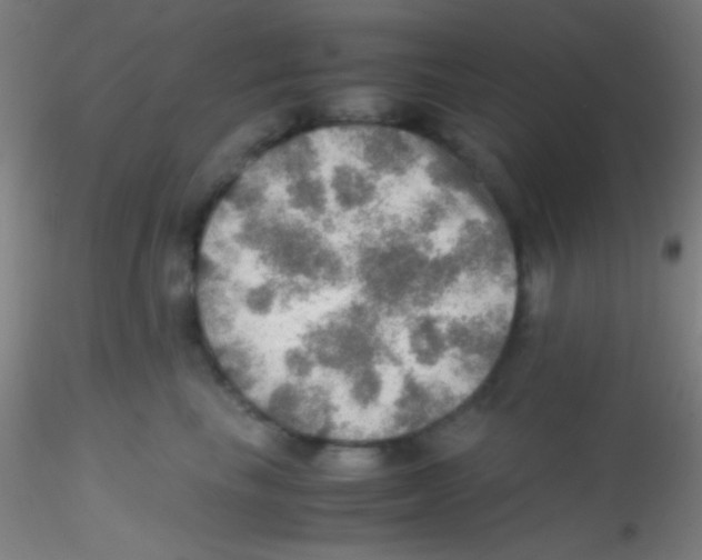 X0000115190665200911251421