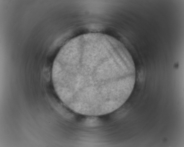 X0000115190666200911251421