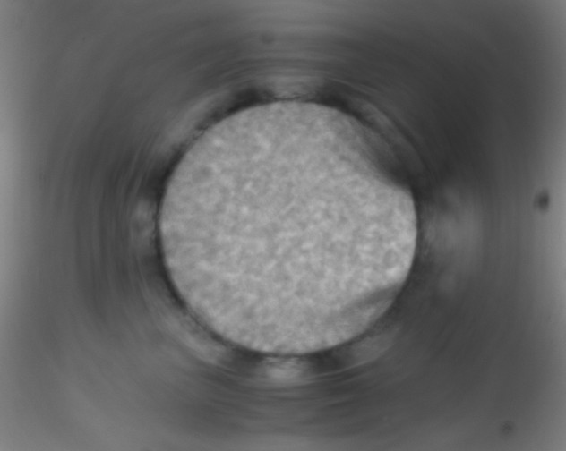 X0000115190667200911251421