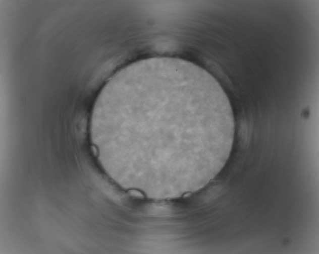 X0000115190668200911251421