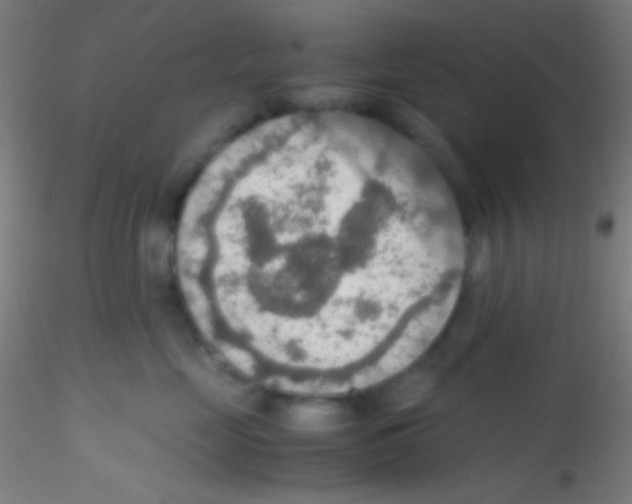 X0000115190669200911251421