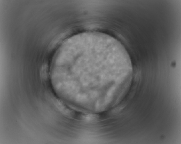 X0000115190670200911251421