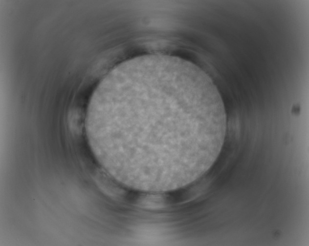 X0000115190671200911251421