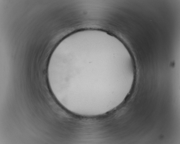 X0000115190673200911251420