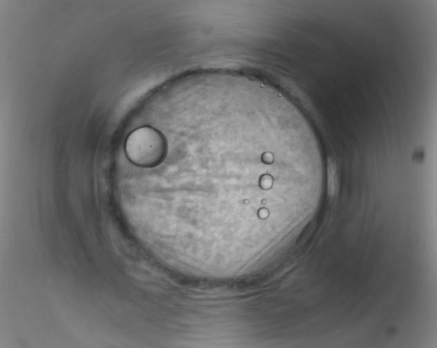 X0000115190675200911251420