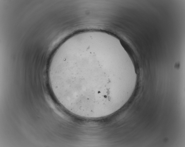 X0000115190677200911251420