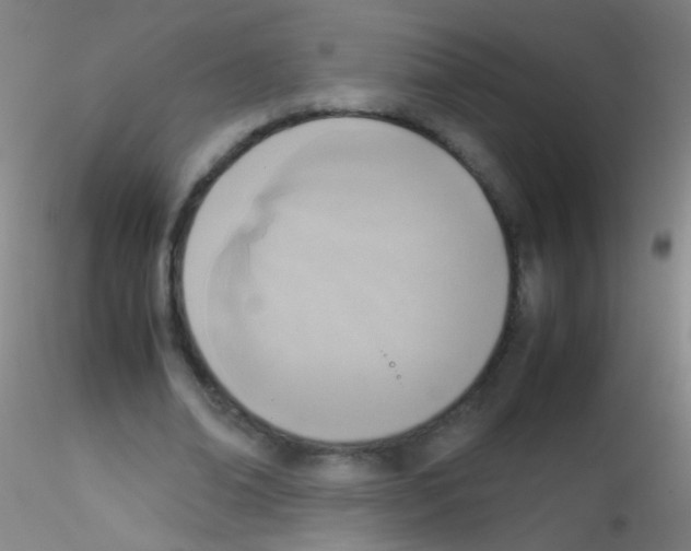 X0000115190678200911251420