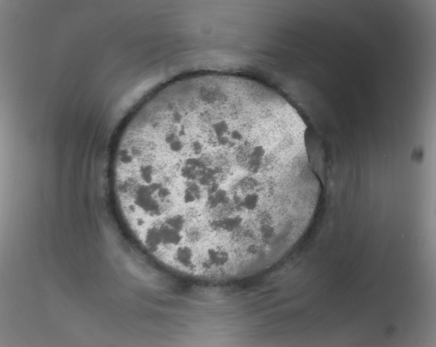 X0000115190679200911251420