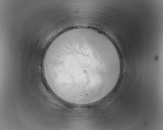 X0000115190681200911251420