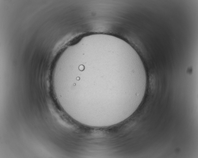 X0000115190682200911251420