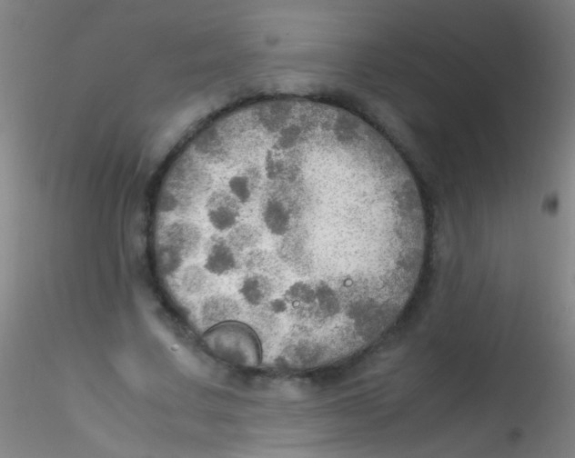 X0000115190683200911251420