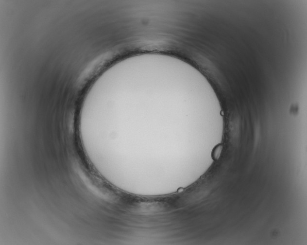 X0000115190686200911251420