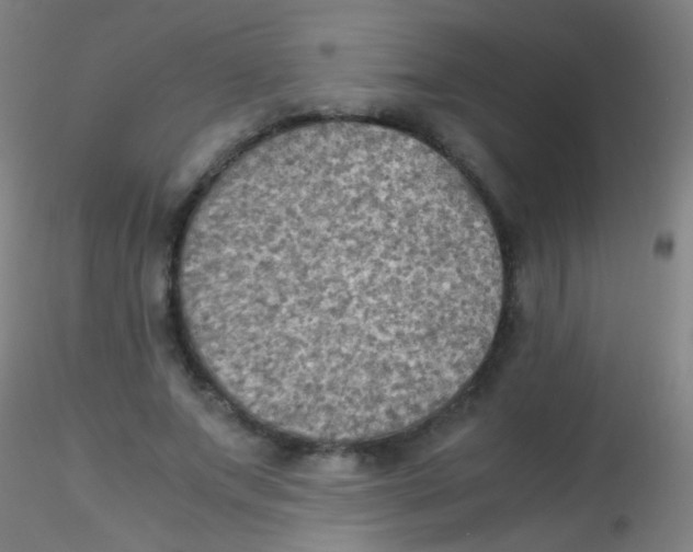 X0000115190687200911251420