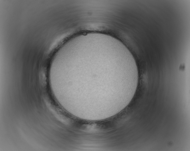 X0000115190688200911251420