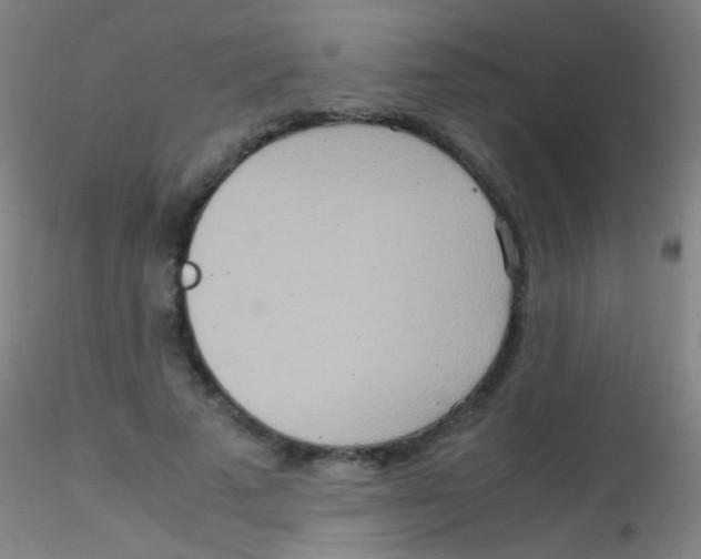 X0000115190689200911251420