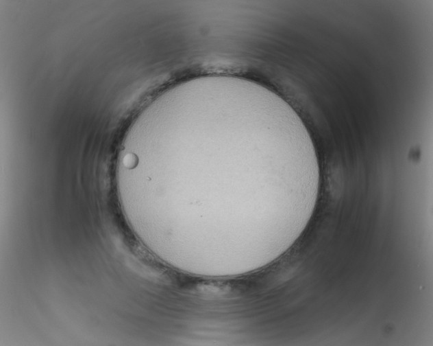 X0000115190690200911251420