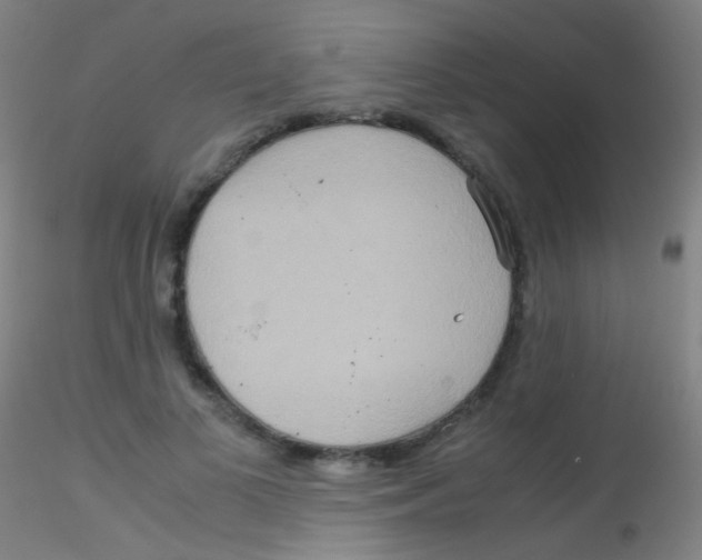 X0000115190693200911251420