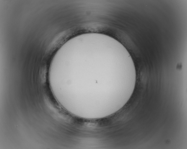 X0000115190694200911251420