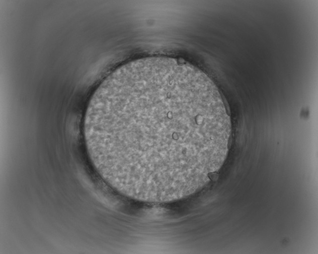 X0000115190695200911251420