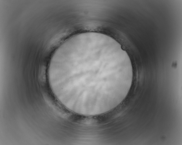 X0000115190696200911251420