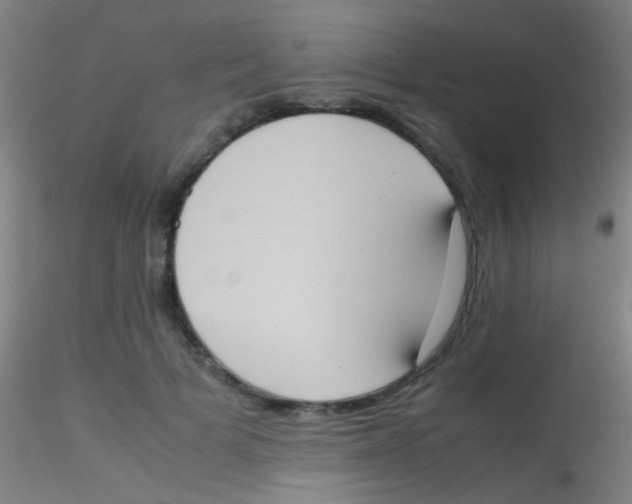 X0000115190697200911251420