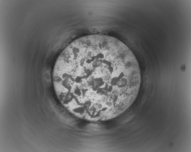 X0000115190699200911251420